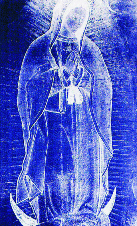 Hình ảnh Đức Trinh Nữ Guadalupe. Giống như Tấm vải liệm Turin, nó là một hình ảnh không phải do bàn tay con người tạo ra, như các nhà khoa học J.B. Smith và P.S. Callahan đã chứng minh qua việc phân tích tia X hồng ngoại. Kết luận của họ như sau: “Kết quả của hình ảnh